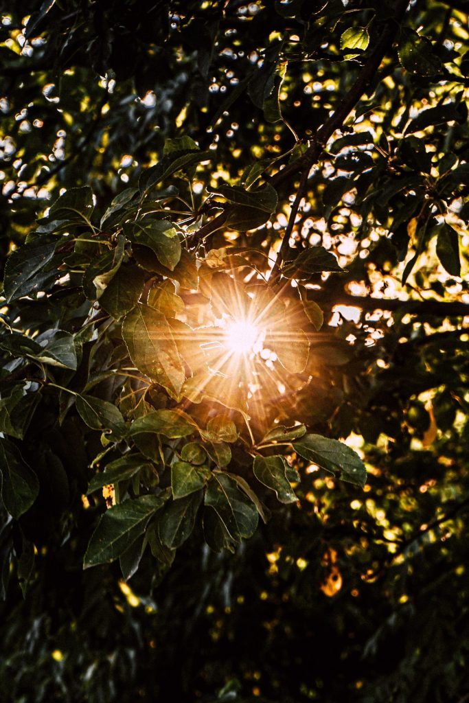 light light