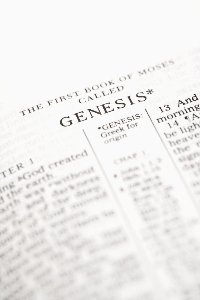 Genesis Genesis