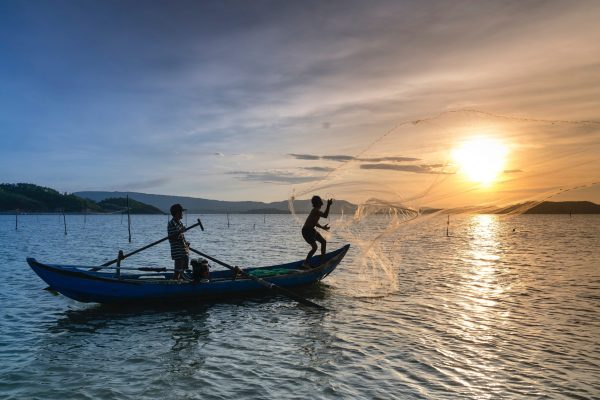 pexels-quang-nguyen-vinh-2163224 pexels-quang-nguyen-vinh-2163224
