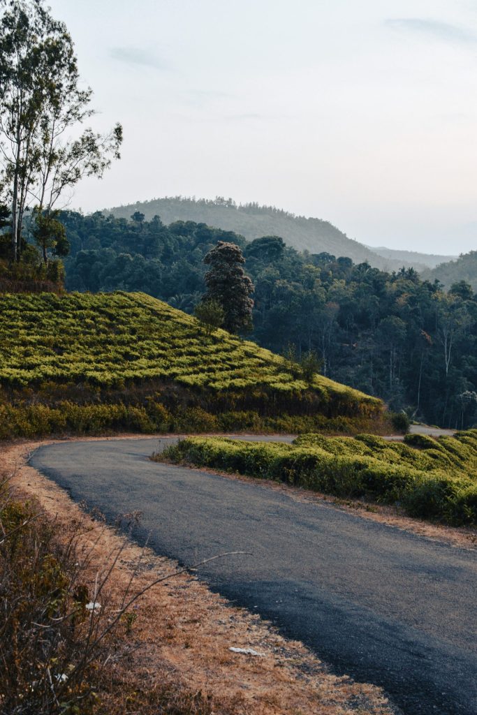 Road in India Road in India